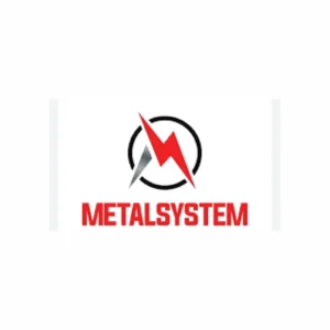 Logo_MetalSystem_Easy-Resize.com_